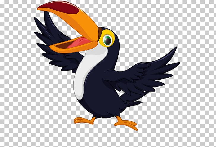 Bird Toucan Parrot PNG, Clipart, Animals, Beak, Bird, Cartoon, Clip Art Free PNG Download