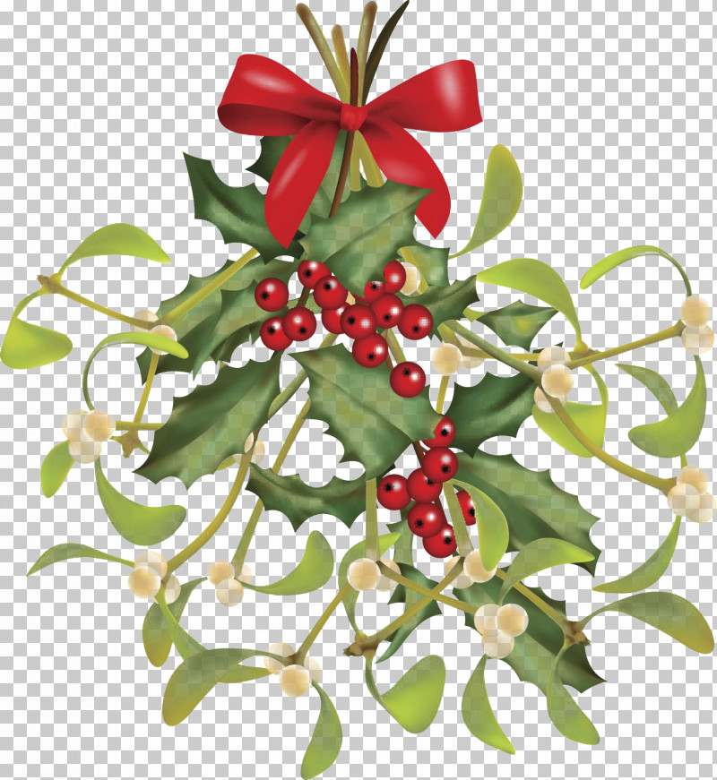 Christmas Day PNG, Clipart, Christmas Day, Mistletoe, Royaltyfree Free PNG Download