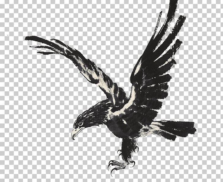 Eagle Ink Wash Painting PNG, Clipart, Accipitriformes, Art, Beak, Bird, Bird Of Prey Free PNG Download