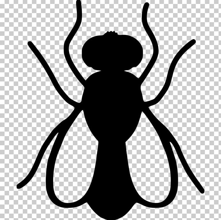 Mosquito Pest Control Cockroach Housefly PNG, Clipart, Animals, Artwork, Black And White, Cheating In Video Games, Flies Free PNG Download