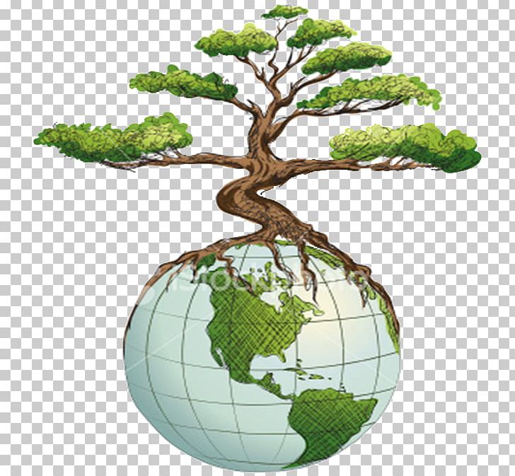 Tree Business Organization Drawing PNG, Clipart, Animation, Business, Company, Drawing, Flowerpot Free PNG Download