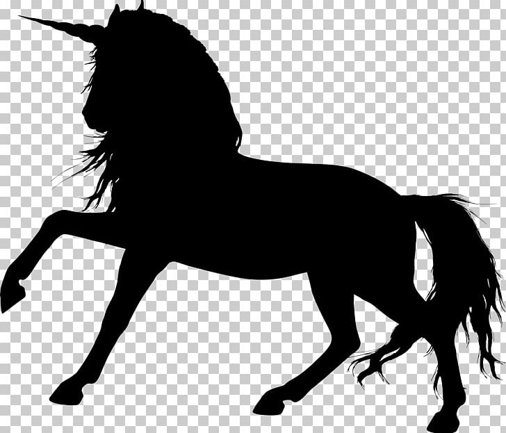 Arabian Horse Colt Foal PNG, Clipart, Animals, Arabian Horse, Black, Black And White, Bridle Free PNG Download