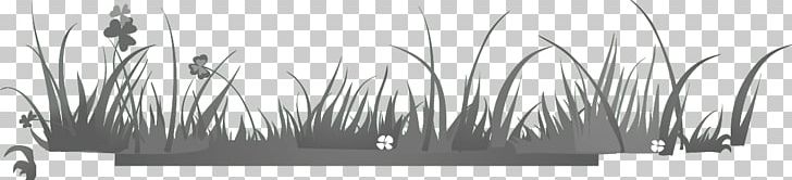 Paper Education Grasses PNG, Clipart, Art, Black, Black And White, Caro, Creativity Free PNG Download