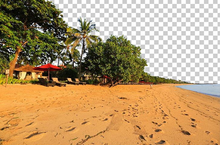 Sandy Beach PNG, Clipart, Attractions, Beach, Encapsulated Postscript, Famous, Famous Scenery Free PNG Download