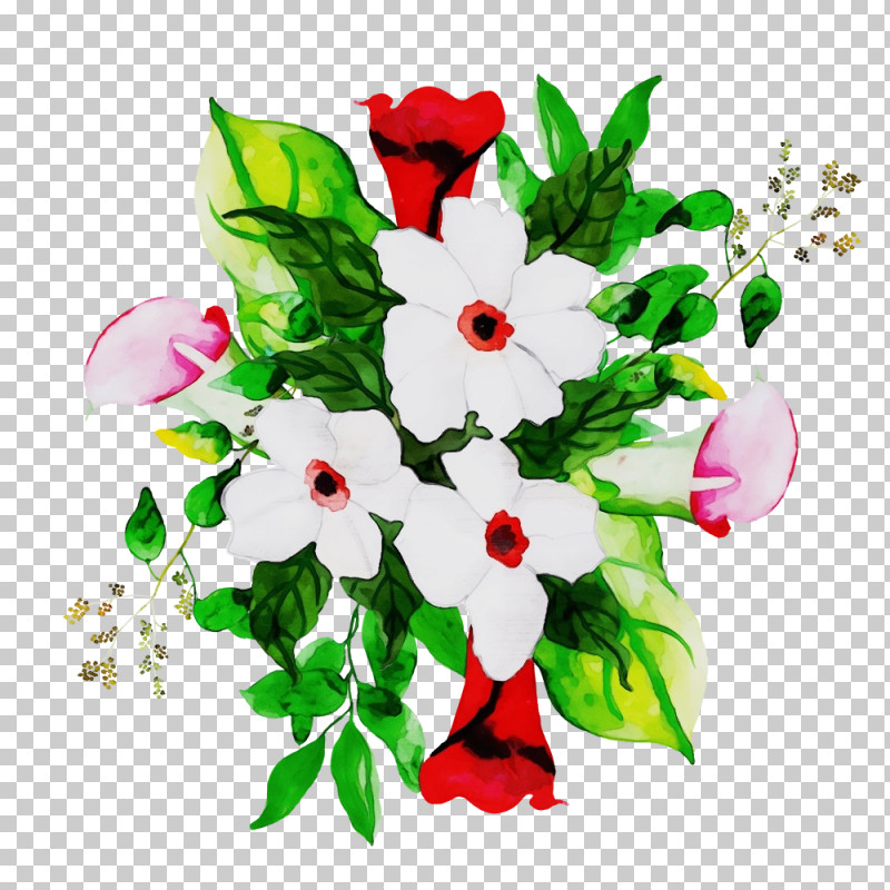 Flower Plant Bouquet Petal Cut Flowers PNG, Clipart, Bouquet, Cut Flowers, Flower, Paint, Petal Free PNG Download