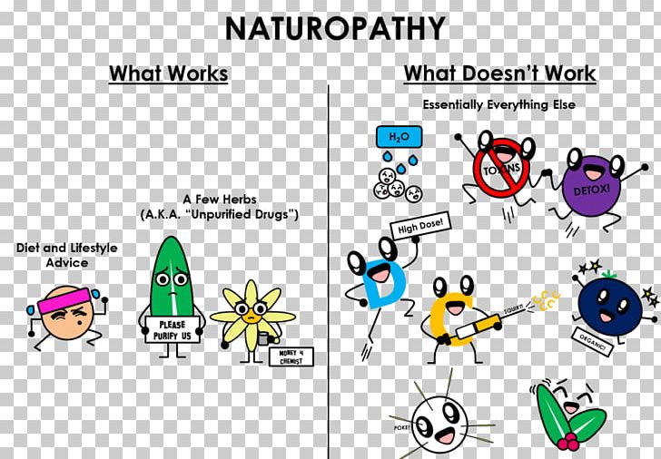 Naturopathy Bastyr University Medicine Alternative Health Services Homeopathy PNG, Clipart, Alternative Medicine, Angle, Area, Art, Bastyr University Free PNG Download