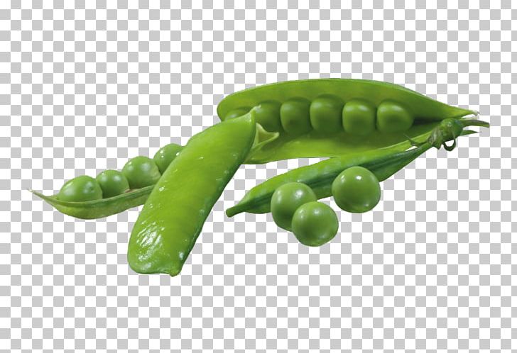 Pea Vegetable Pod PNG, Clipart, Bean, Burst Effect, Food, Fruit, Green Free PNG Download