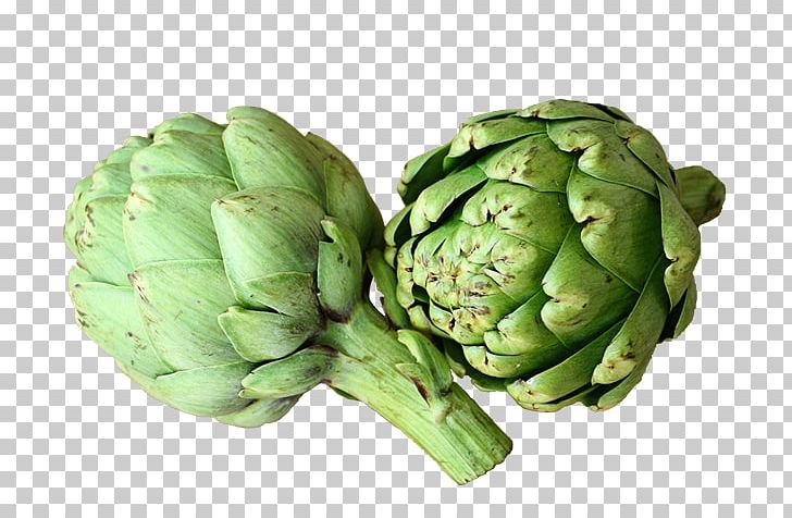 Artichoke The Plan Food Vegetable Health PNG, Clipart, Artichoke, Chard, Chives, Cooking, Cynara Free PNG Download