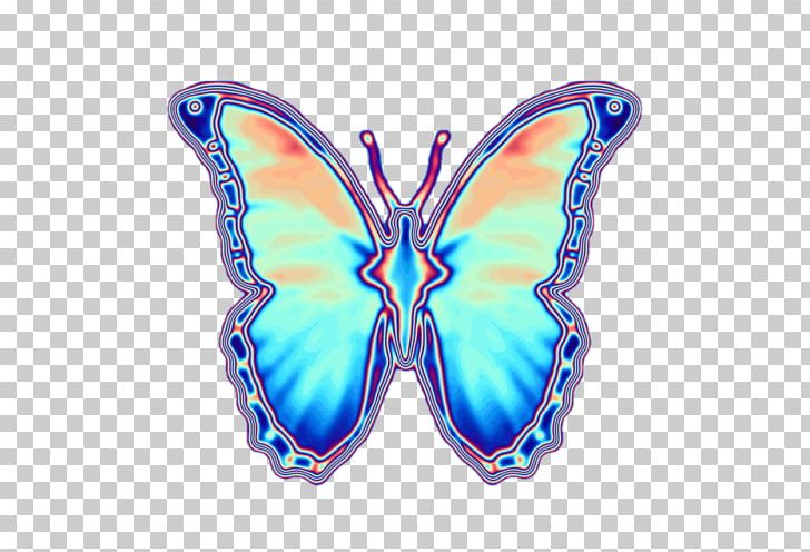 Butterfly Insect Iridescence Moth PNG, Clipart, Animal, Arthropod, Butterflies And Moths, Butterfly, Butterfly Aestheticism Free PNG Download