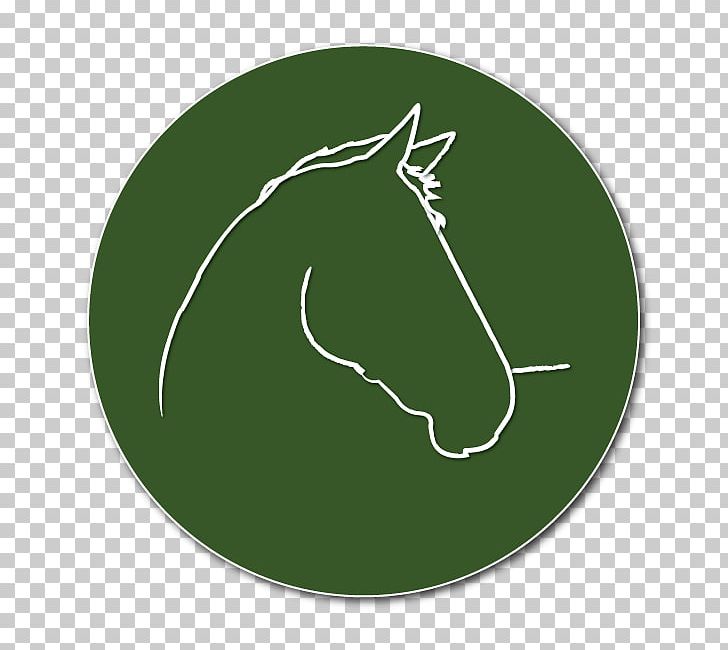 Circle Leaf Equestrian Font PNG, Clipart, Circle, Education Science, Equestrian, Grass, Green Free PNG Download