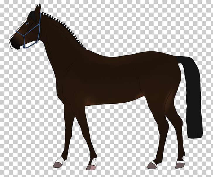 Stallion Mare Mustang Foal Thoroughbred PNG, Clipart, Animal, Animal Figure, Art, Bridle, Colt Free PNG Download
