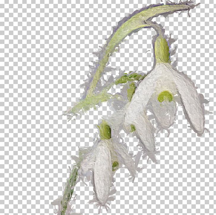 Twig Plant Stem Leaf Flower PNG, Clipart, Branch, Flower, Glaze, Leaf, Organism Free PNG Download