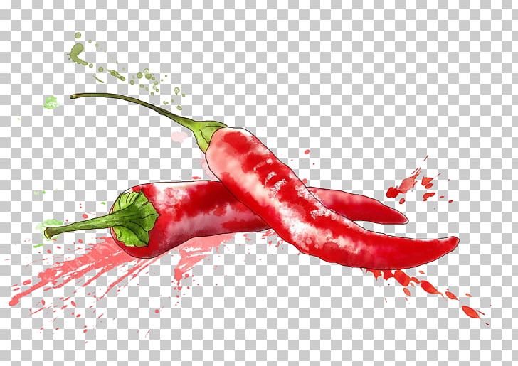 Chile De Xe1rbol Birds Eye Chili Cayenne Pepper Tabasco Pepper Chili Pepper PNG, Clipart, Bell Peppers And Chili Peppers, Birds Eye Chili, Bla, Food, Fruit Free PNG Download