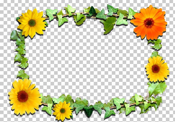 Frames Flower PNG, Clipart, Annual Plant, Blog, Clip Art, Cut Flowers, Daisy Family Free PNG Download
