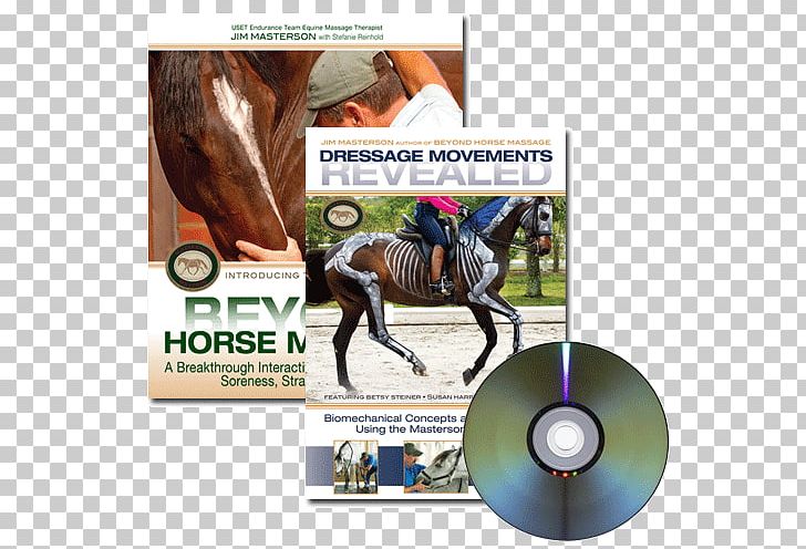 Horse Riding And Training Rein Equestrian Dressage PNG, Clipart, Brand, Bridle, Cavalry, Classical Dressage, Dressage Free PNG Download