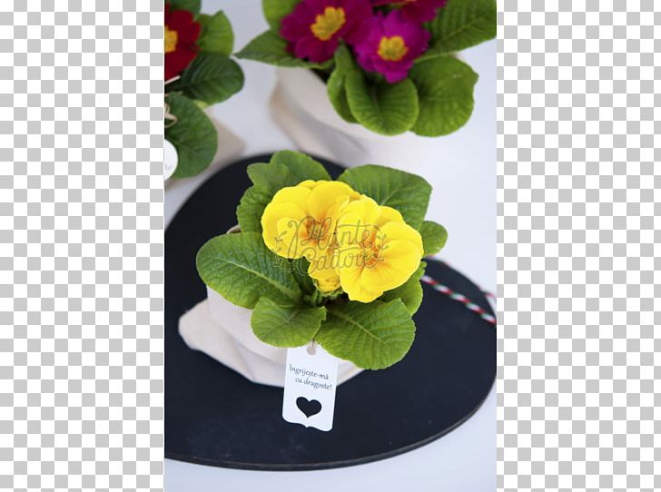 Primrose Flowerpot Artificial Flower PNG, Clipart, Artificial Flower, Flower, Flowerpot, Others, Plant Free PNG Download