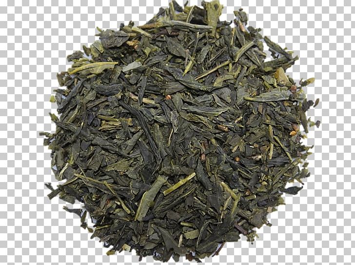 Tea Oolong Gyokuro Lapsang Souchong Shincha PNG, Clipart, Assam Tea, Bai Mudan, Bancha, Biluochun, Camellia Sinensis Free PNG Download