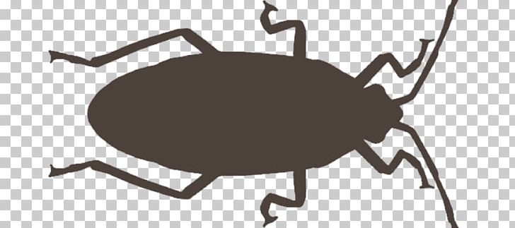 Weevil Pest Control FUMICOSOL PNG, Clipart, Arthropod, Australian, Beetle, Black And White, Business Free PNG Download