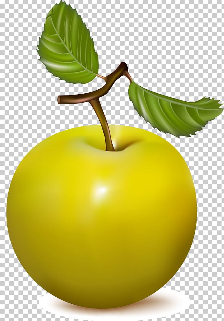 Leaf Photography Illustration PNG, Clipart, Apple Fruit, Apple Logo, Apple Vector, Food, Fruit Free PNG Download