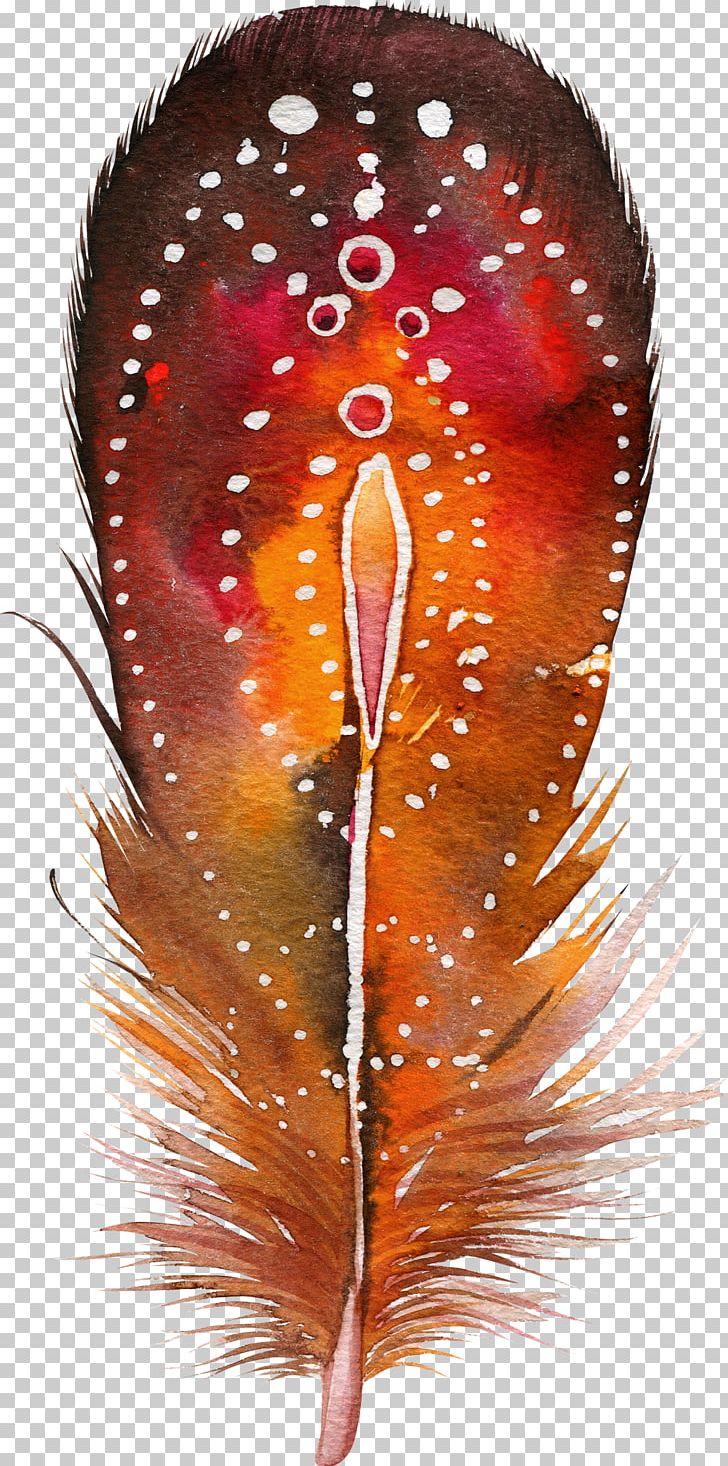 Watercolor Painting Poster Juliane Wolf Photography PNG, Clipart, Animals, Art, Color, Decoration, Feather Free PNG Download