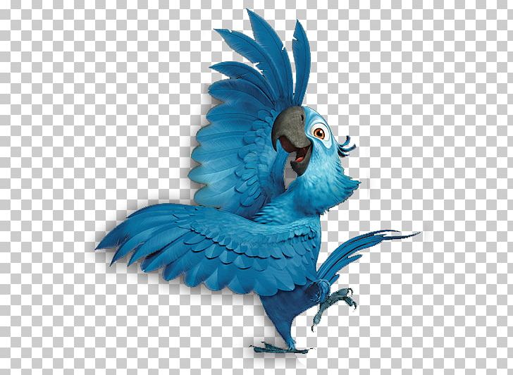 Blu Parrot Rio Spixs Macaw PNG, Clipart, Animals, Animation, Beak, Bird, Blu Free PNG Download