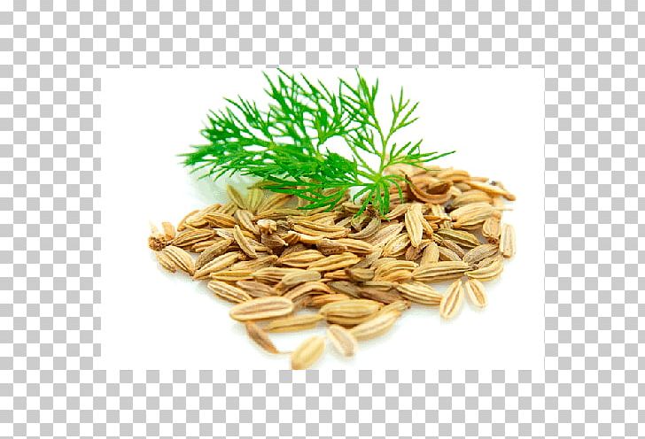 Dill Seed Fennel English Lavender Herb PNG, Clipart, Avena, Cardamom, Cereal, Cereal Germ, Commodity Free PNG Download