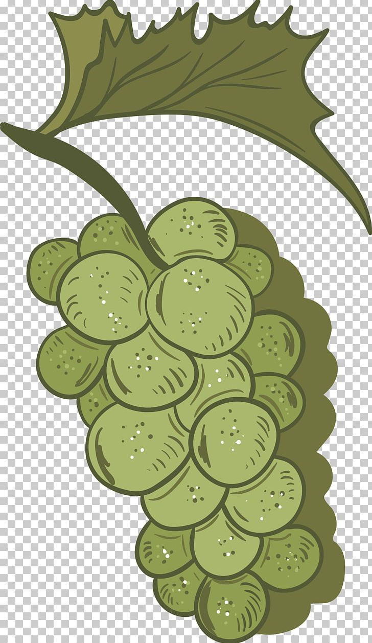 Grape Vecteur Fruit PNG, Clipart, Blue, Drawing, Food, Fruit, Fruit Nut Free PNG Download