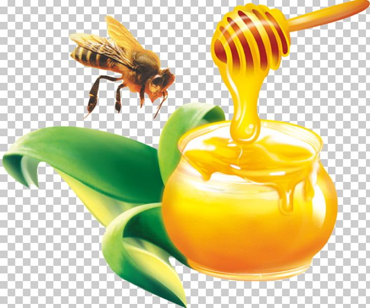 Australia Bee Comb Honey Honeycomb PNG, Clipart, Beekeeper, Beekeeping, Bees Honey, Beeswax, Delicious Free PNG Download