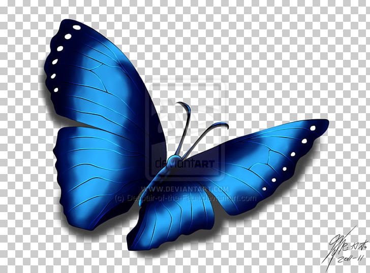 Butterfly Effect Portable Network Graphics Adobe Photoshop PNG, Clipart, Blue, Butterfly, Butterfly Effect, Chaos Theory, Cobalt Blue Free PNG Download