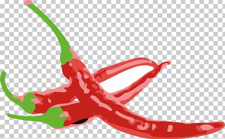 Cayenne Pepper Bell Pepper Chili Pepper Scoville Unit Capsicum Pubescens PNG, Clipart,  Free PNG Download