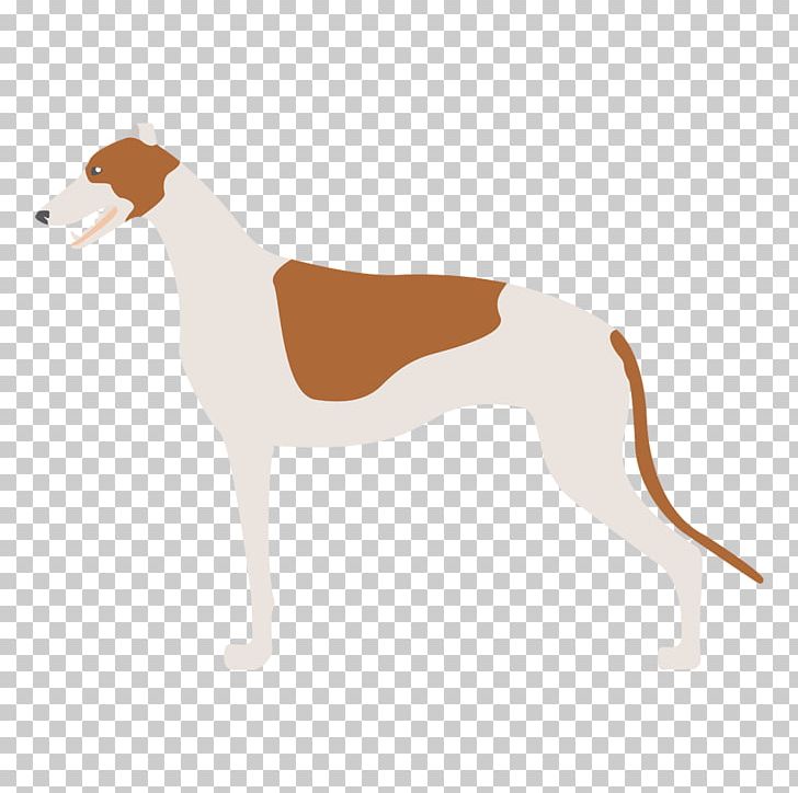 Italian Greyhound Spanish Greyhound Whippet Sloughi PNG, Clipart, American Foxhound, Animal Sports, Azawakh, Breed, Carnivoran Free PNG Download