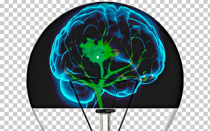 Human Brain Cognitive Training Neuroimaging Reabilitação Neurológica PNG, Clipart, Ampa Receptor, Brain, Cognitive Training, Consciousness, Electric Blue Free PNG Download