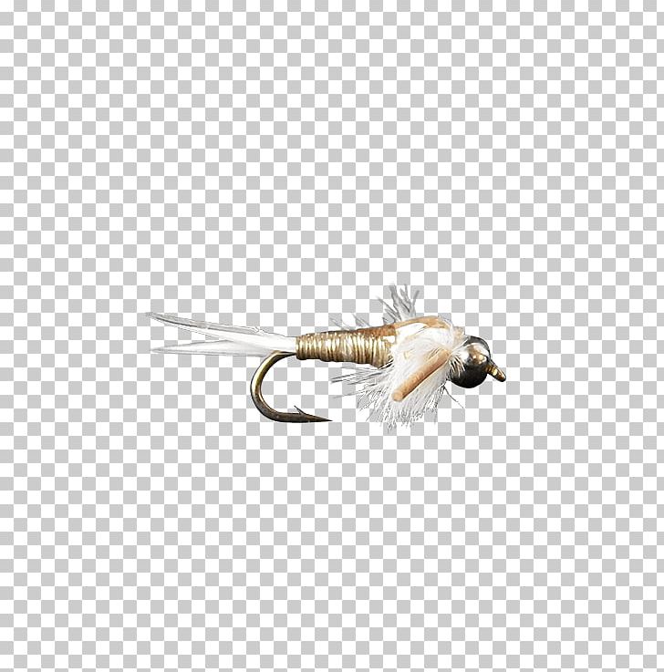 Nymph Elk Hair Caddis Fly Fishing B & H Photo Video Sales PNG, Clipart, 2018, B H Photo Video, Cdc, Elk Hair Caddis, Feather Free PNG Download