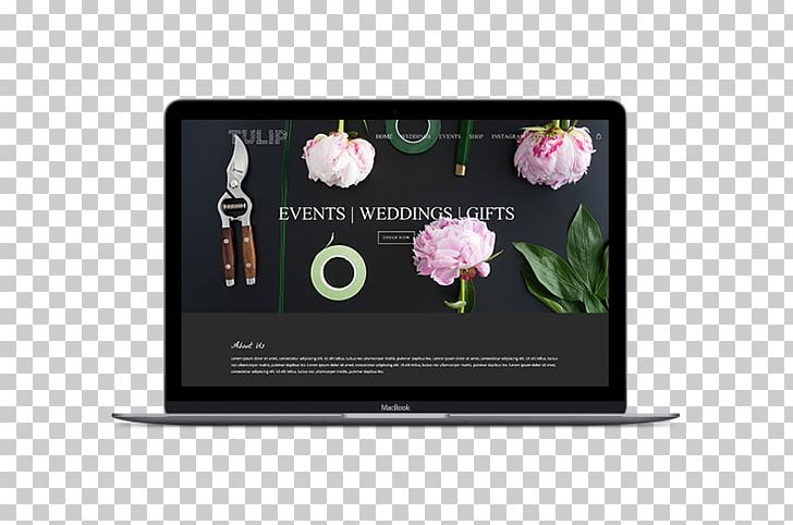 Photography Stock.xchng PNG, Clipart, Display Device, Electronics, Evenement, Media, Multimedia Free PNG Download