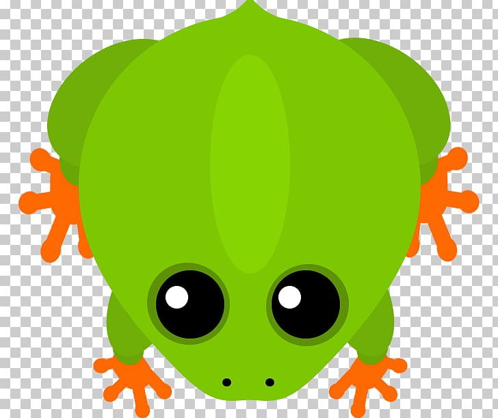 Tree Frog True Frog Frog Design Inc. Animal PNG, Clipart, Amphibian, Animal, Animals, Cartoon, Cheetah Free PNG Download