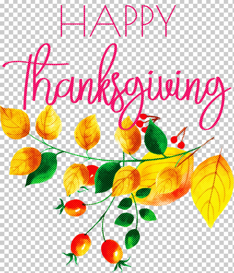 Happy Thanksgiving PNG, Clipart, Biology, Floral Design, Flower, Fruit, Happy Thanksgiving Free PNG Download