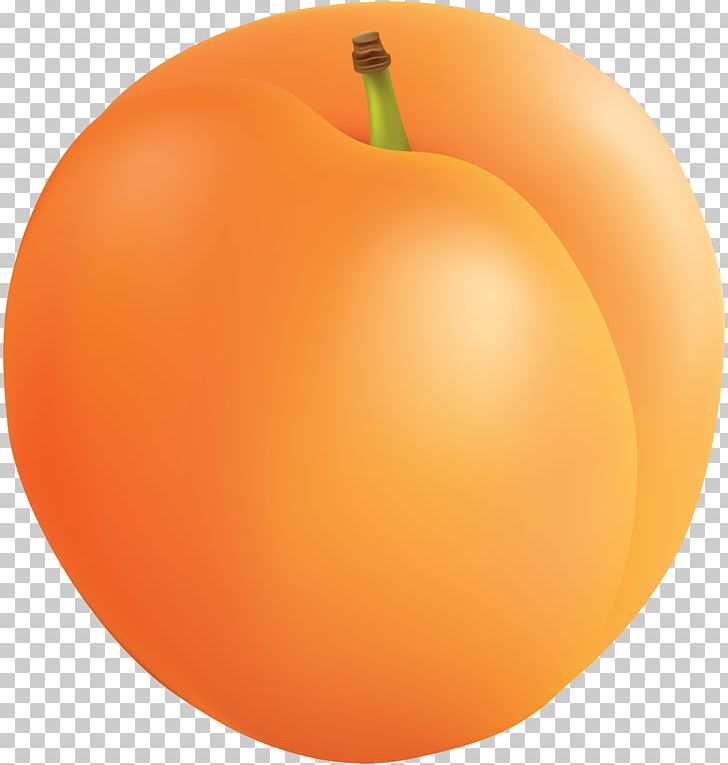 Apricot Fruit PNG, Clipart, Apple, Apricot, Citrus, Clementine, Diet Food Free PNG Download