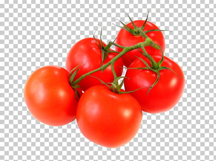 Chutney Cherry Tomato Vegetable Fruit Ingredient PNG, Clipart, Bell Pepper, Berry, Bush Tomato, Capsicum, Cherry Free PNG Download