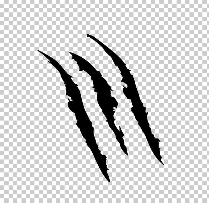 Claw Scratch PNG, Clipart, Black And White, Claw, Clip Art, Desktop Wallpaper, Display Resolution Free PNG Download