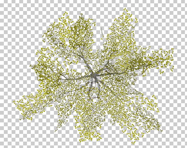 Tree Architecture PNG, Clipart, Android, Architecture, Branch, Drawing, Dwg Free PNG Download