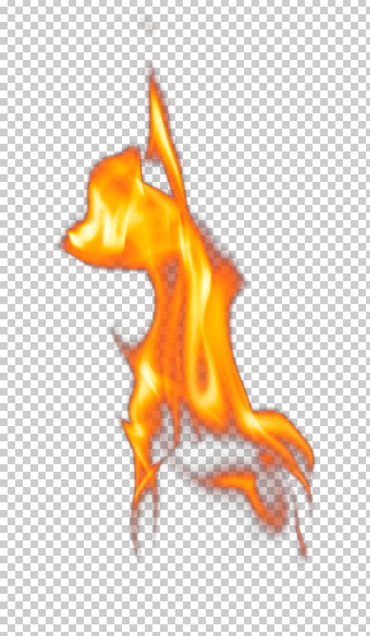 Flame Fire Euclidean PNG, Clipart, Art, Chemical Element, Computer Icons, Element, Elemental Free PNG Download