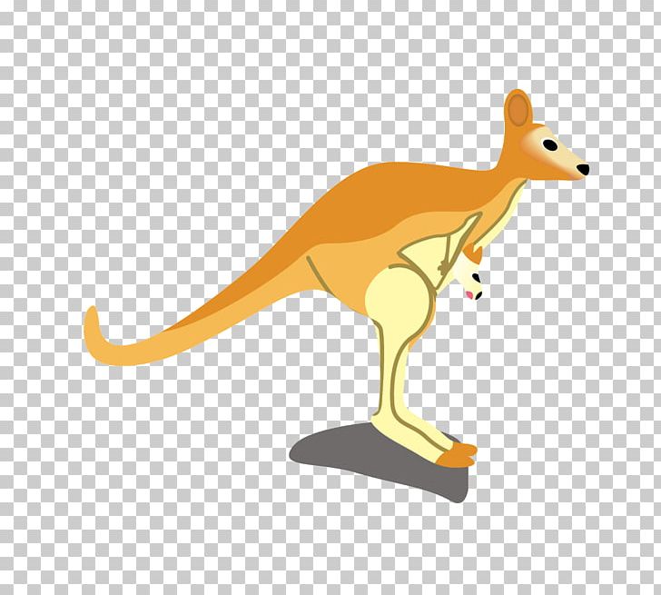Kangaroo Macropodidae Cartoon Illustration PNG, Clipart, Animal, Animals, Balloon Cartoon, Boy Cartoon, Carnivoran Free PNG Download