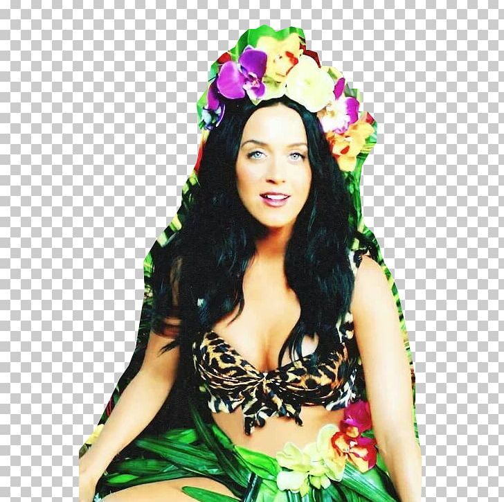 Katy Perry Roar One Of The Boys Teenage Dream PNG, Clipart, Animals, Black Hair, Brown Hair, Costume, Crown Free PNG Download