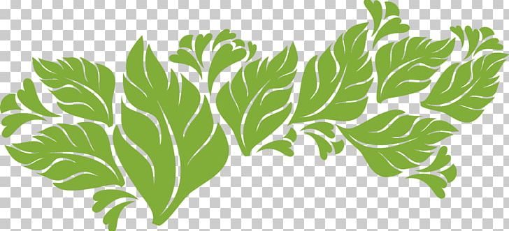 Leaf Vegetable Plant Stem Science PNG, Clipart, Branch, Grass, Green, Herb, Leaf Free PNG Download