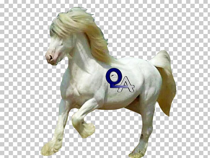 Mustang Stallion Mare Pony Halter PNG, Clipart, Animal Figure, Business, Cabal, Computer Software, Customer Free PNG Download