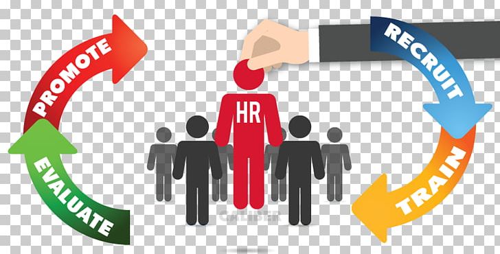 Human Resource Management System Human Resource Management System PNG, Clipart, Business, Communication, Company, Consultant, Graphic Design Free PNG Download