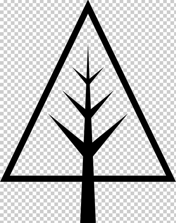 Tree Computer Icons Pine Portable Network Graphics PNG, Clipart, Angle, Artwork, Black And White, Christmas Day, Christmas Tree Free PNG Download