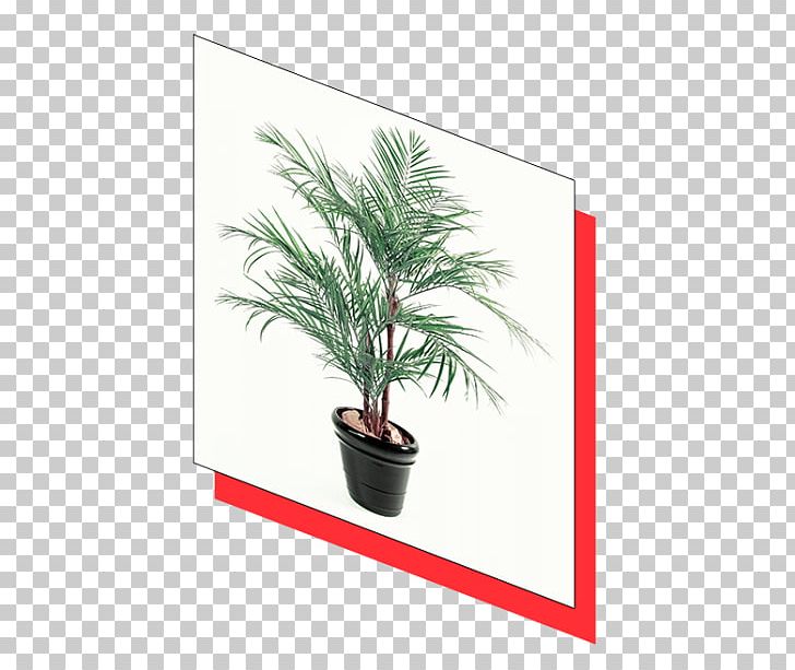 Date Palm Areca Palm Flowerpot Houseplant Arecaceae PNG, Clipart, Arecaceae, Arecales, Areca Palm, Banana, Date Palm Free PNG Download