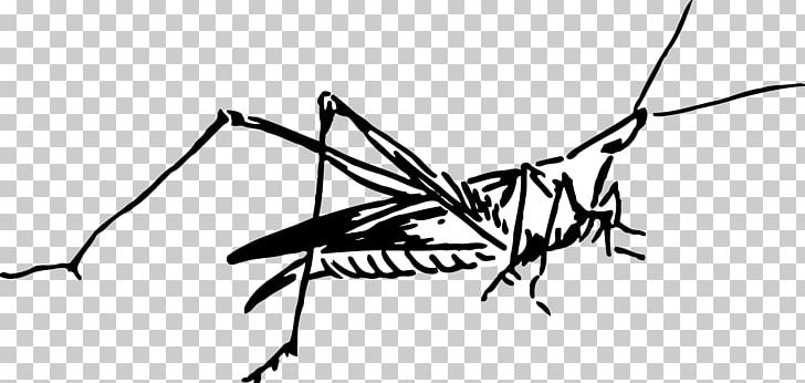 Insect Mosquito PNG, Clipart, Animal, Animals, Art, Arthropod, Black And White Free PNG Download