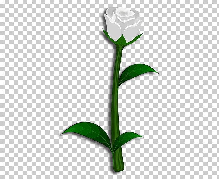 Rose Family Cut Flowers Plant Stem Bud PNG, Clipart, Bud, Cut Flowers, Delta, Family, Flora Free PNG Download